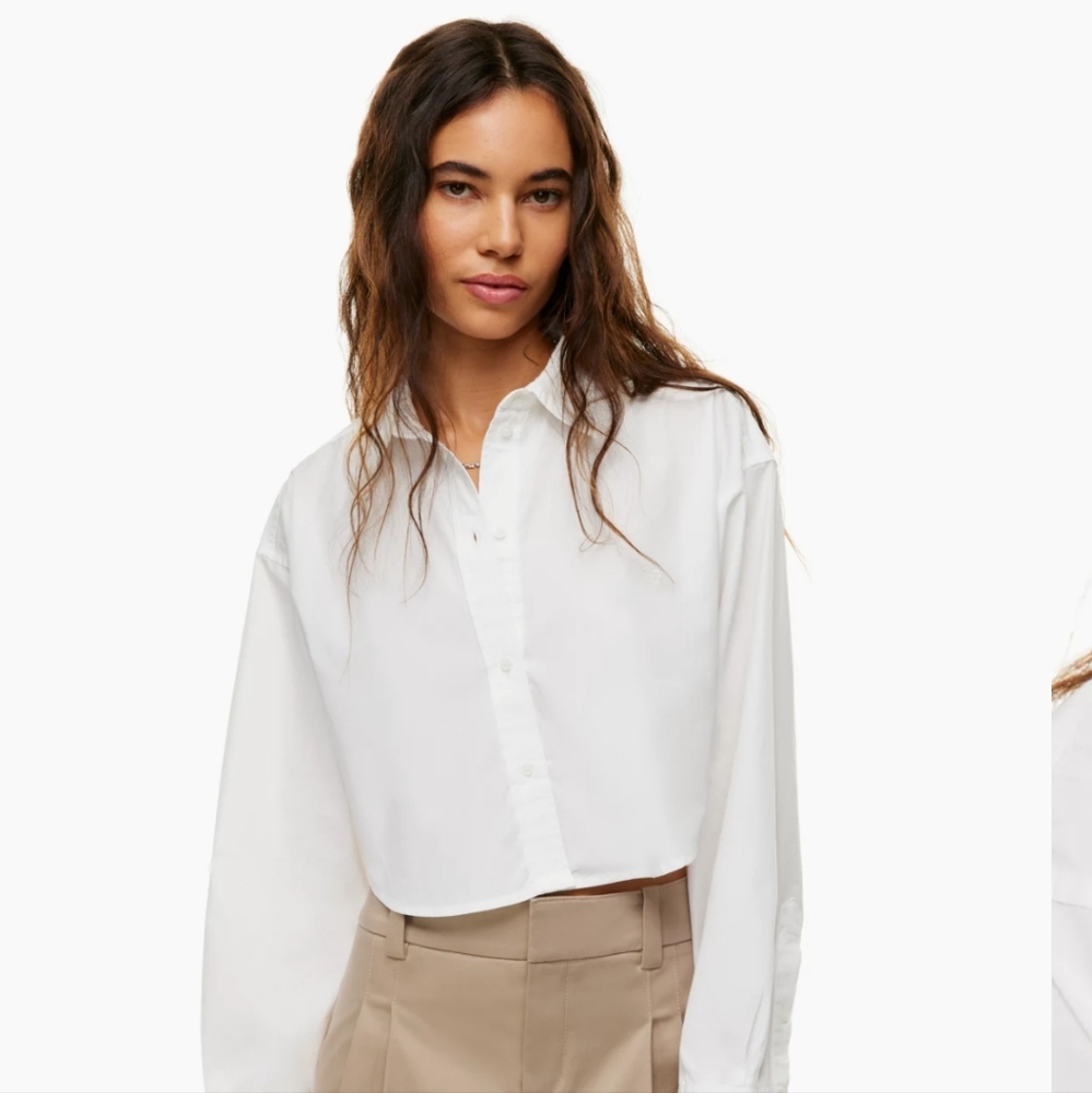 Aritzia Babaton sunday best poplin shirt oversized cropped